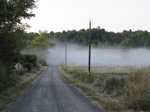 Running Into the Fog