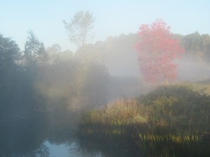 Fog Lingering Over the River